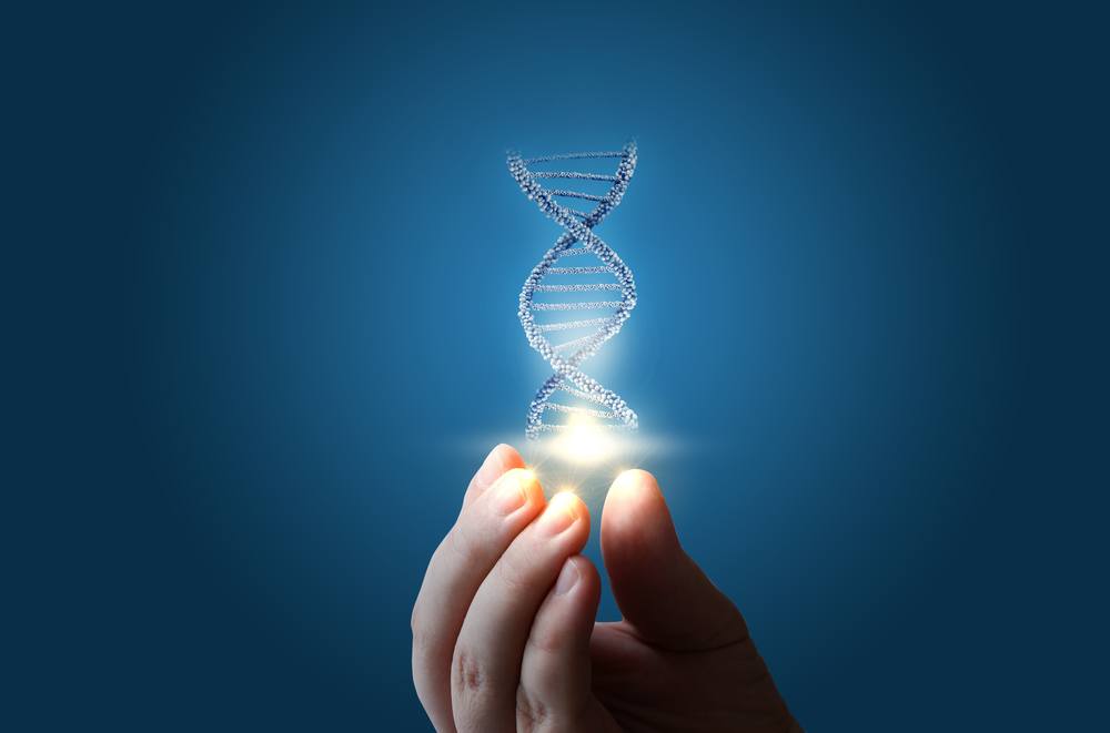 Šroubovice DNA