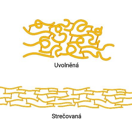 Srovnání uvolněného zvlněného a strečovaného napřímeného kolagenového vlákna